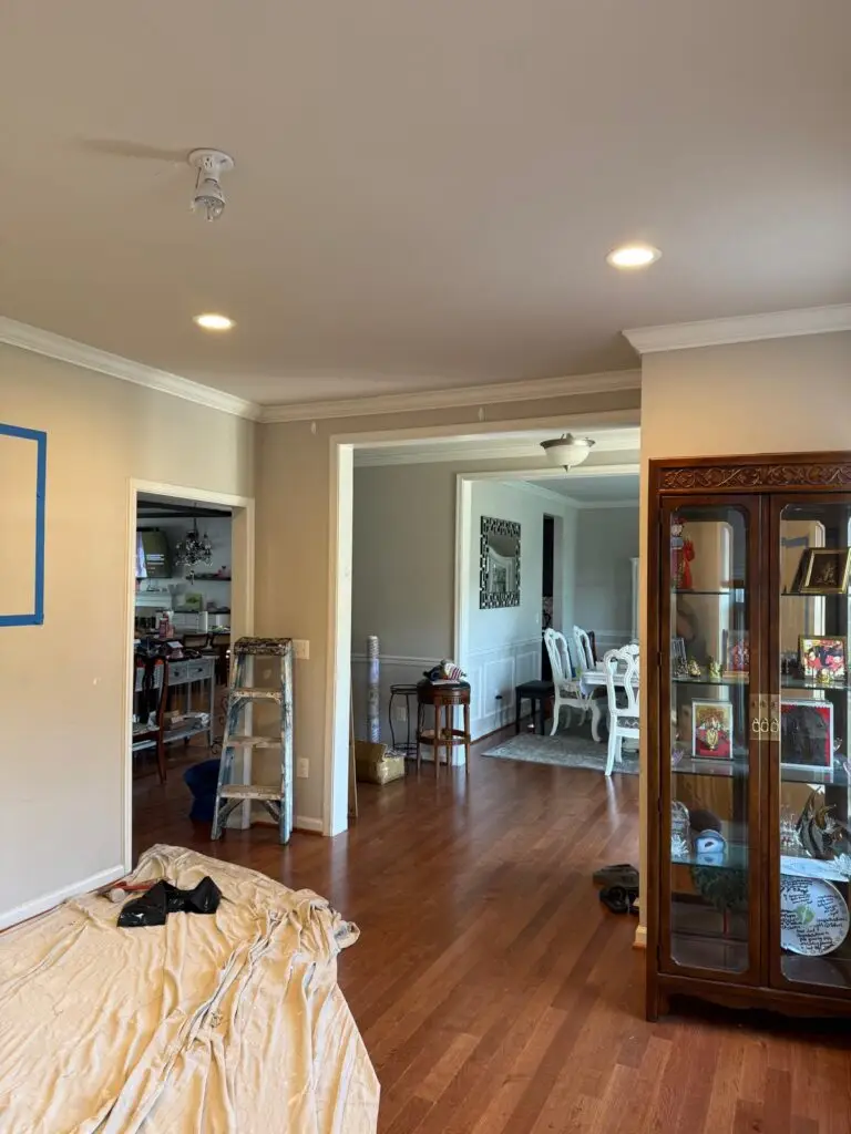 2ae91522-c522-4ac5-b693-1a45dd6dc8d5