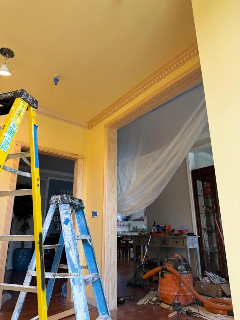 80536f14-f48a-47bb-bdc7-518c5d73c77a