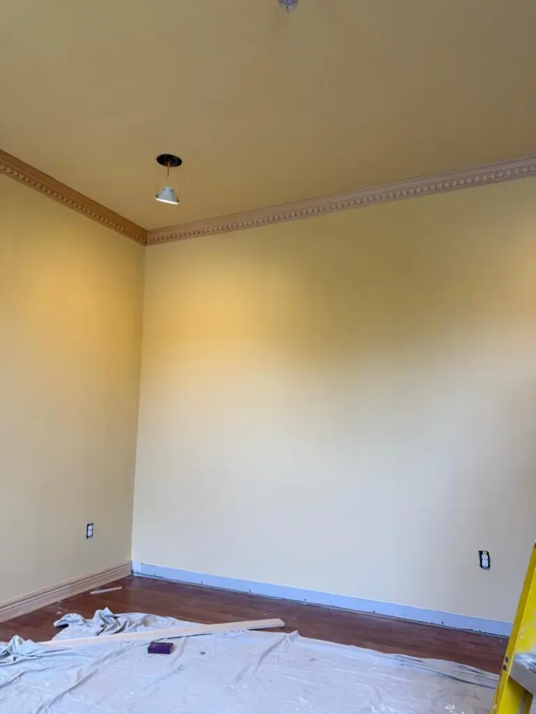 d17fc24a-3bac-481d-914c-d1209073ff7c